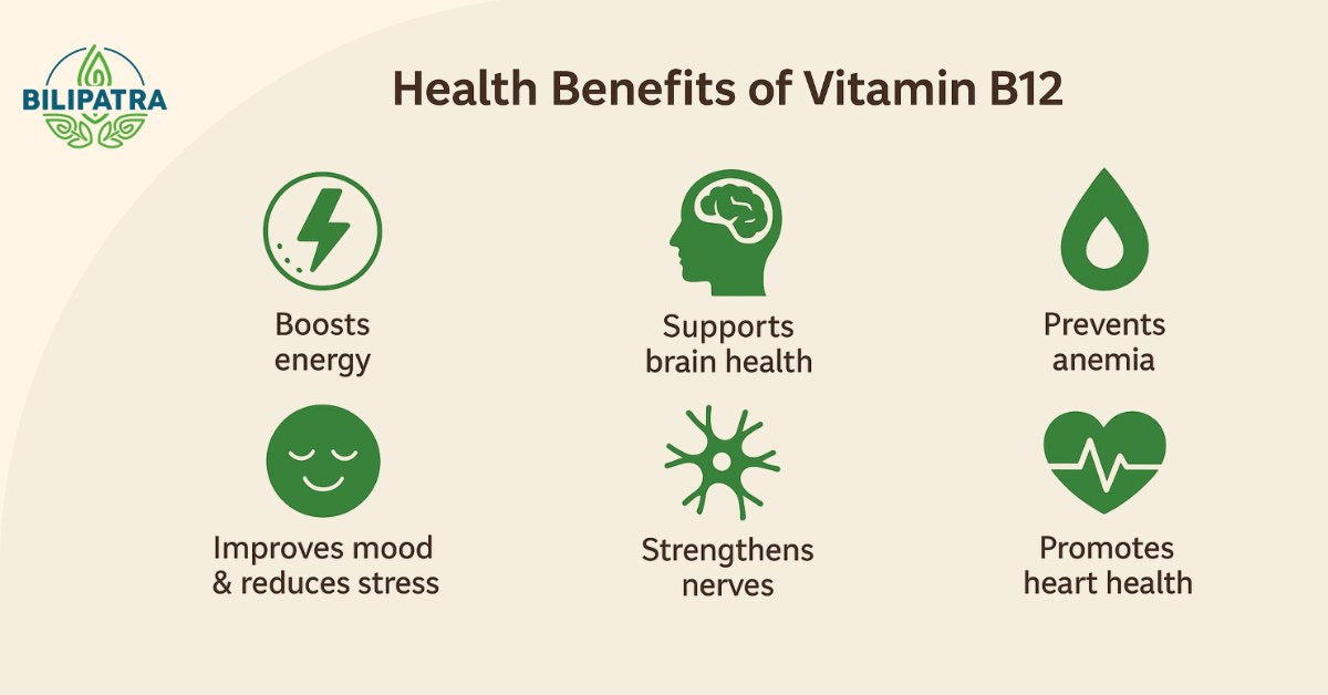 Health Benefits of Vitamin B12: A Complete Guide