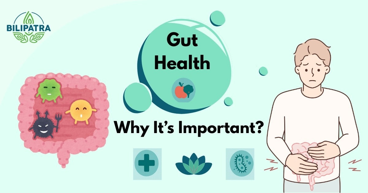 Why Gut Health Is Essential for Complete Wellness