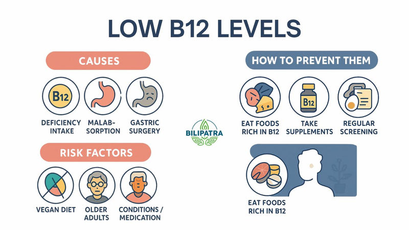 Low Vitamin B12 Levels: Causes, Risk Factors & Prevention