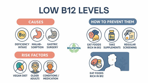 Low B12 Levels: Causes, Risk Factors & How to Prevent Them – Bilipatra