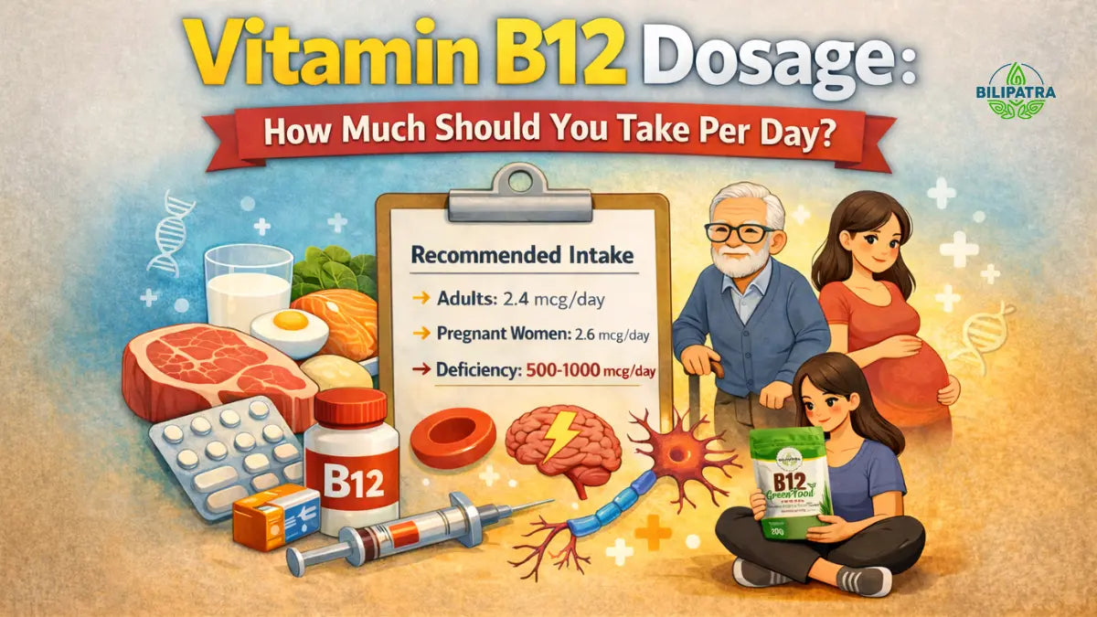 Vitamin B12 Dosage: How Much Should You Take Per Day?