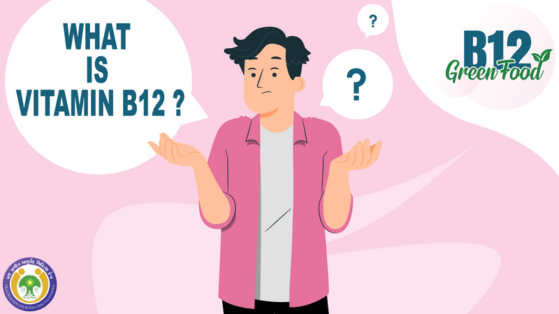 What is Vitamin B12