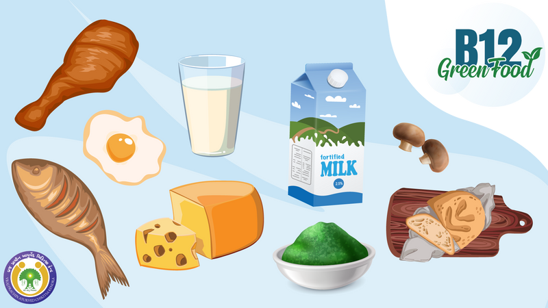 Great Food Sources of Vitamin B12