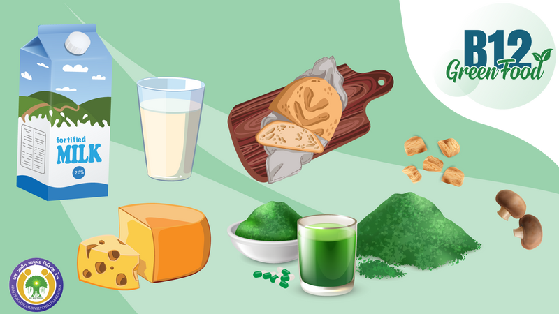 Top 7 Great Sources of Vitamin B12 Foods for Vegetarians and Vegans