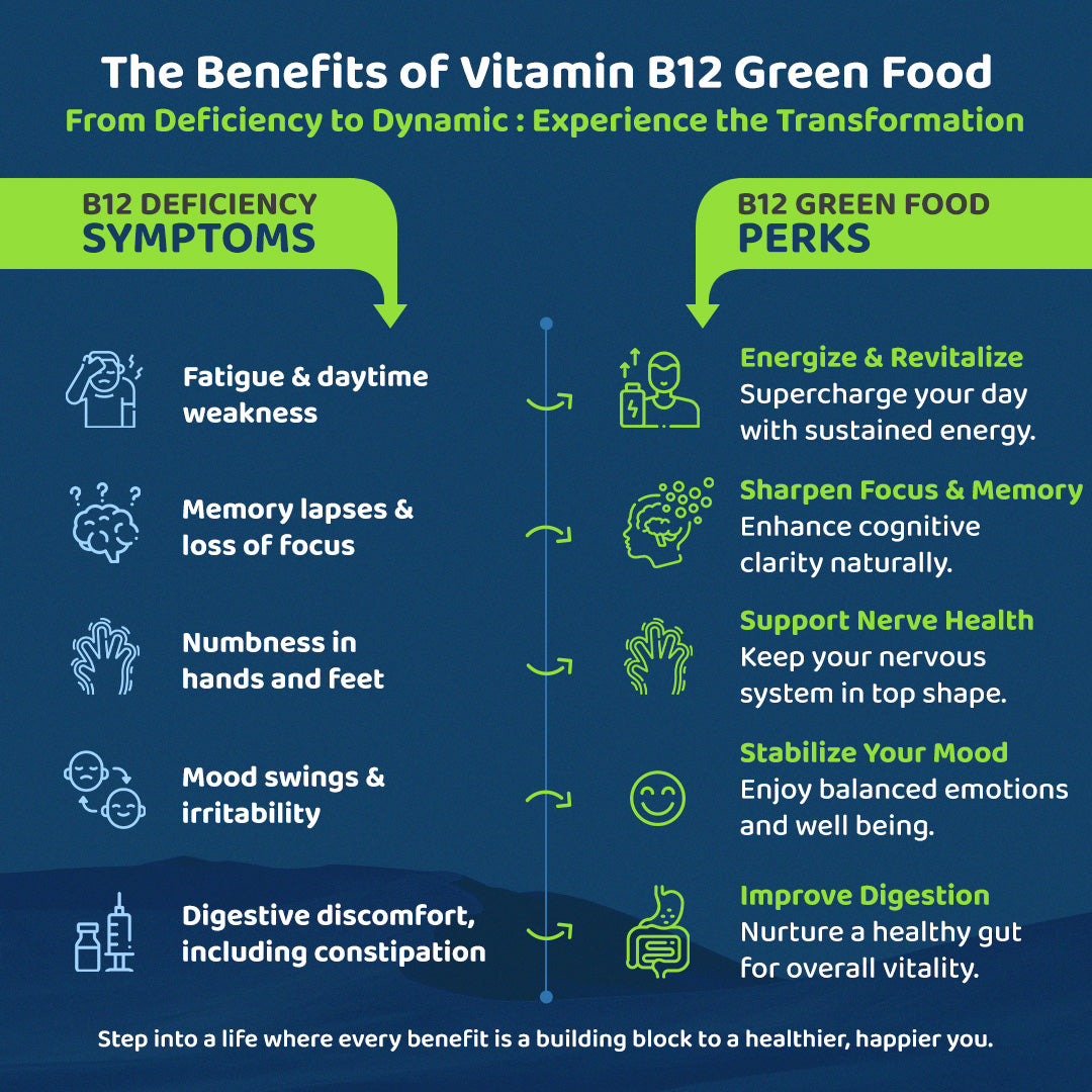 B12 GreenFood Powder – The Best Natural Remedy for Fatigue, Gut Issues & Vitamin B12 Deficiency