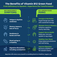 B12 GreenFood Powder – The Best Natural Remedy for Fatigue, Gut Issues & Vitamin B12 Deficiency