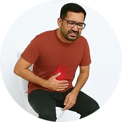 Support digestive health for daily wellness